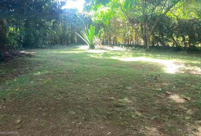 Land in Spring Valley