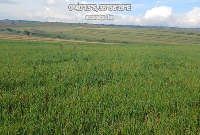 Land in Narok