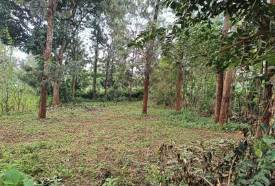 0.125 ac Land at Ruui Kirigiti