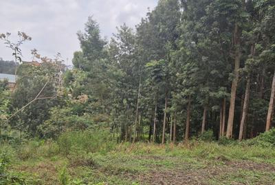 0.25 ac Land in Ruaka - 3