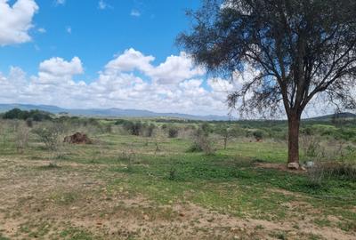 14 ac Land in Bisil - 2
