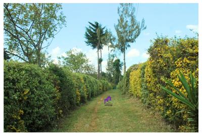 3.5 ac Land at Karinde Road - 2