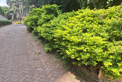 0.44 ac Commercial Land at General Mathenge