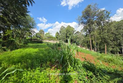 2.3 ac Land in Kitisuru - 3