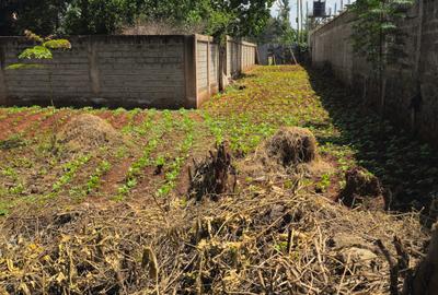 0.25 ac Land at Nyati Drive - 2