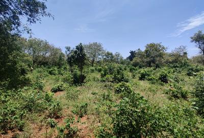 0.25 ac Land in Diani