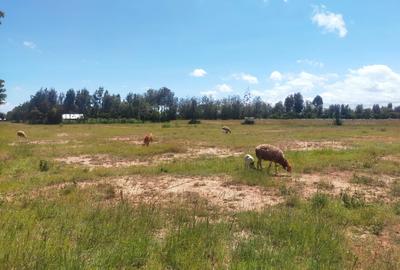 Land in Nanyuki