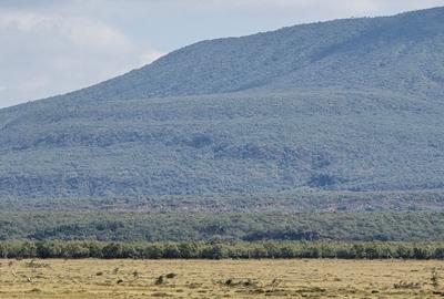 1 ac Land in Naivasha - 4