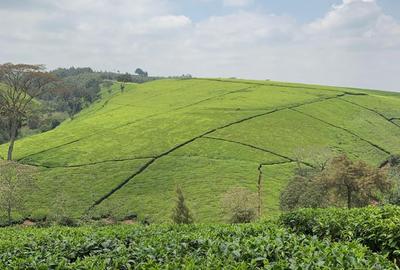 20 ac Land at Riara Ridge - 4