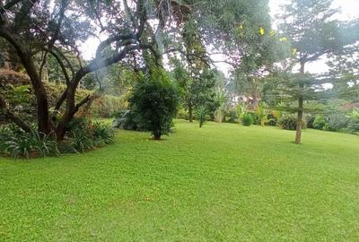 8 Bed House with En Suite in Lavington
