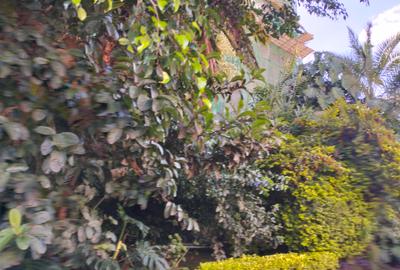 0.70 ac Land in Westlands Area - 3