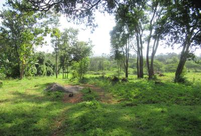 Residential Land at Ololua Ridge