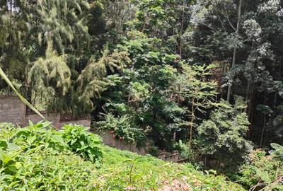 0.5 ac Land at Kitisuru Springs