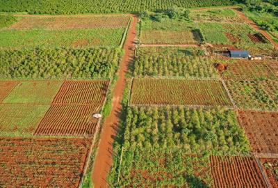 0.25 ac Residential Land at Oaklands