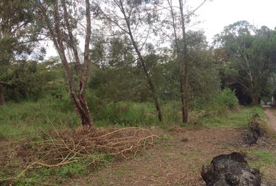 0.5 ac Land at Olepolos - 2