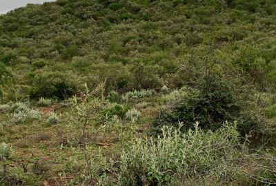 Land at Ntarshat - 4