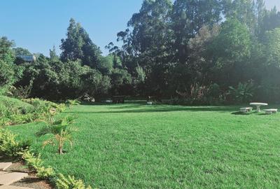 1.25 ac Commercial Property with Backup Generator in Karen - 2