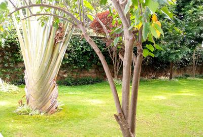 Furnished 2 Bed Apartment with En Suite at Kilimani