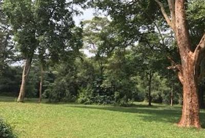 4 ac Residential Land in Kiambu Road - 2