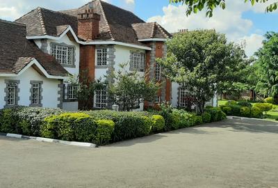 Commercial Property with Backup Generator at Lavington - 2