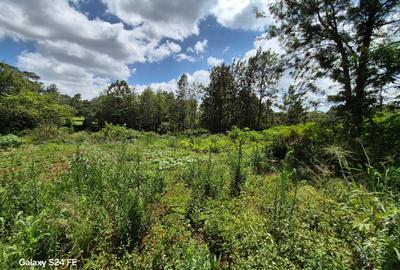 5,057 m² Residential Land at Mushroom Estate - 4
