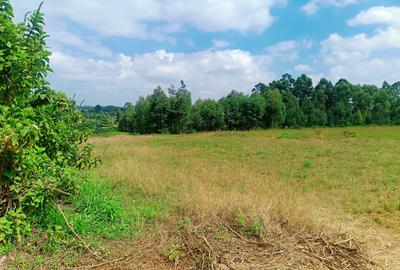 500 m² Residential Land at Thigio