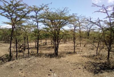 Land at Nanyuki