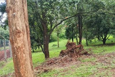 Land in Karen