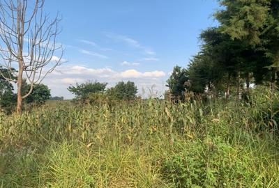 0.5 ac Land at Kiganjo Junction