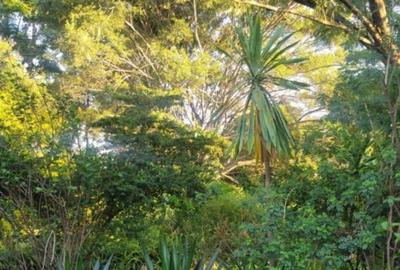 Land at Sultan Hamud - 4