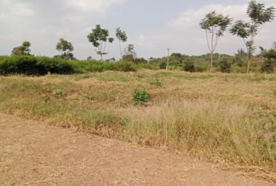 0.25 ac Residential Land in Thika