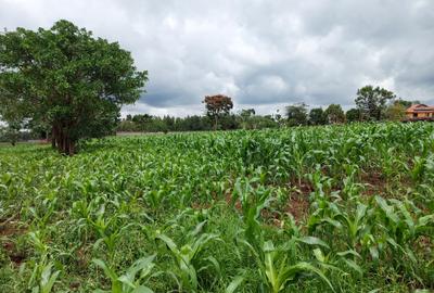 Residential Land at Runda Road