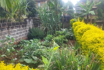 4 Bed House with En Suite in Ruiru