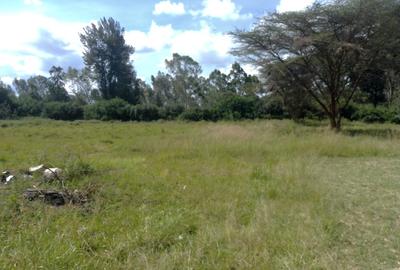 Commercial Land in Karen