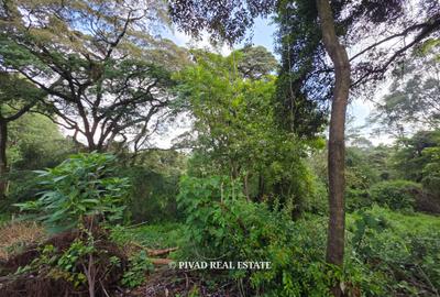 4.8 ac Land in Lower Kabete - 3
