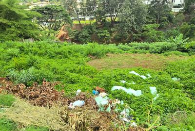 Residential Land at Kitisuru Road - 3
