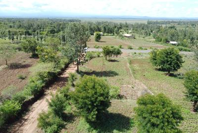 0.045 ha Land at Mwea