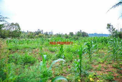 0.1 ha Residential Land at Kamangu