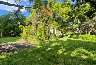 1 ac Land in Nyali Area - 4