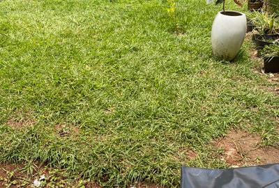 5 Bed Townhouse with En Suite at Kilimani - 2