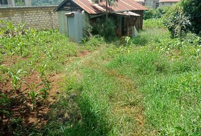 Residential Land at Karura