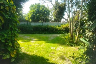 4 Bed Townhouse with Staff Quarters at Few Minutes Drive To Gigiri - 4