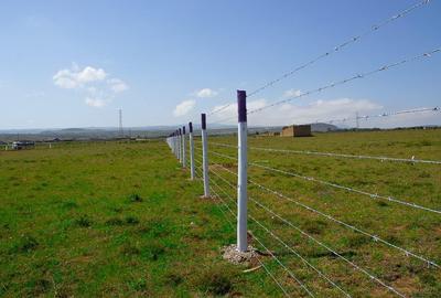 0.125 ac Residential Land in Naivasha - 4