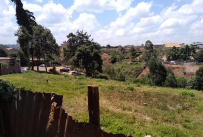 1.25 ac Land in Ruaka