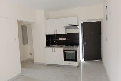 1 Bed Apartment with Lift in Syokimau