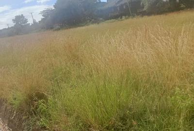 Land in Karen - 4