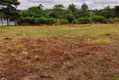 0.5 ac Land at Hardy