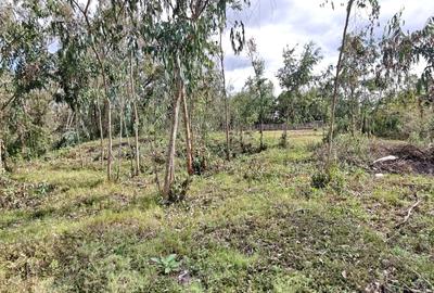 0.5 ac Land in Karen - 4