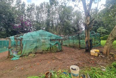 Commercial Property with Garden at Bomas - 4