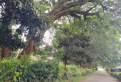 Commercial Land at Church Road